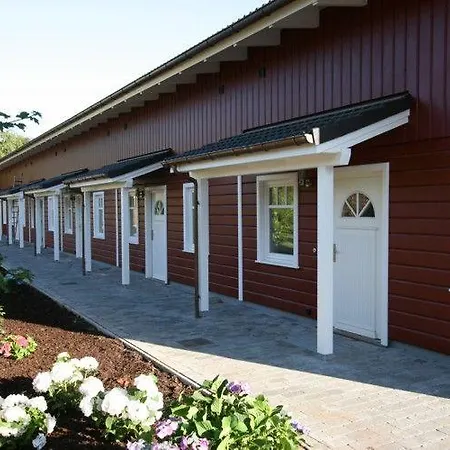 Haus-brandgans