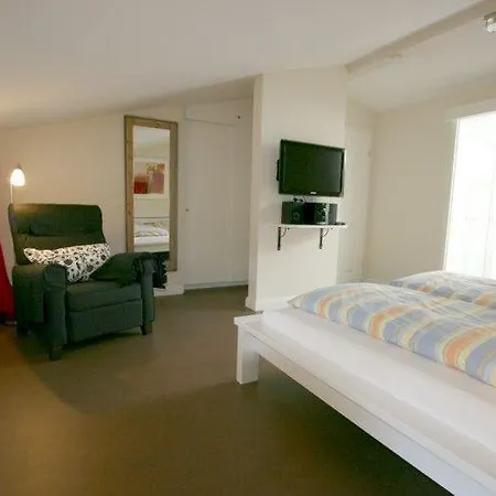 Haus-brandgans * Wyk auf Föhr